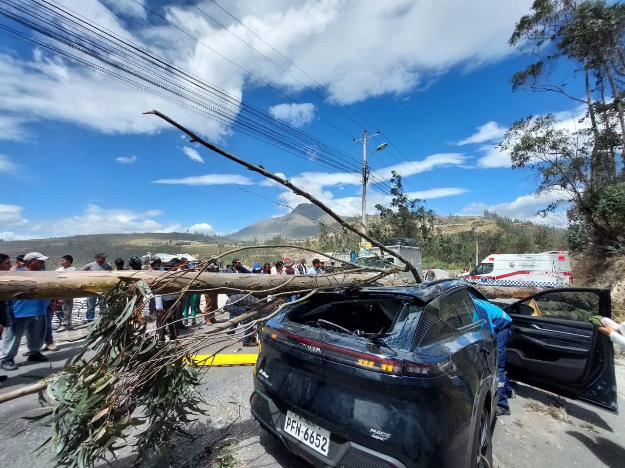 ÁRBOL CAYÓ SOBRE UN VEHÍCULO EN OTAVALO Y UNA PERSONA RESULTÓ HERIDA