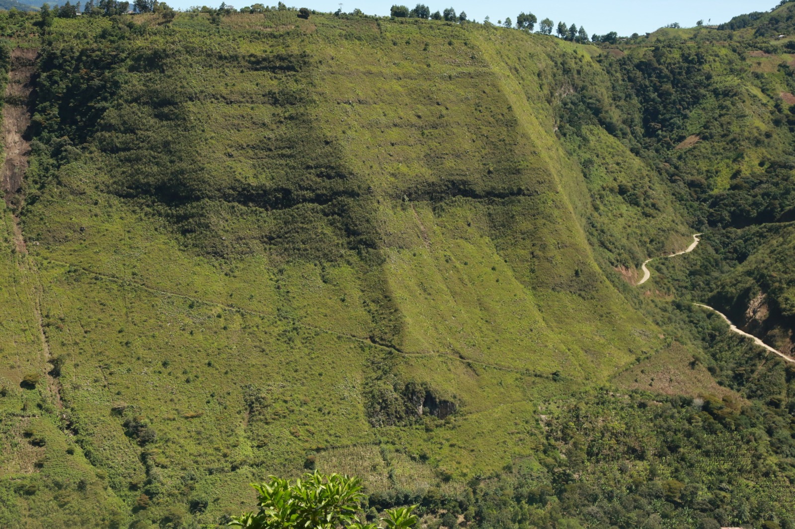 MUNICIPIO DE COTACACHI EXPROPIA 20 HECTÁREAS PARA SALVAR LA ‘CARA DE INTAG’ DE LA DEFORESTACIÓN